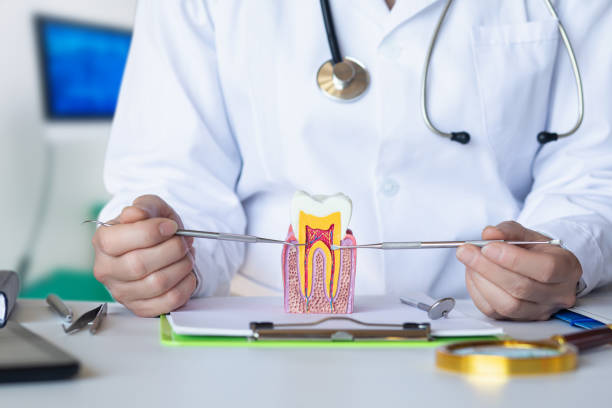 Best Same-Day Emergency Dentist in Elroy, NC